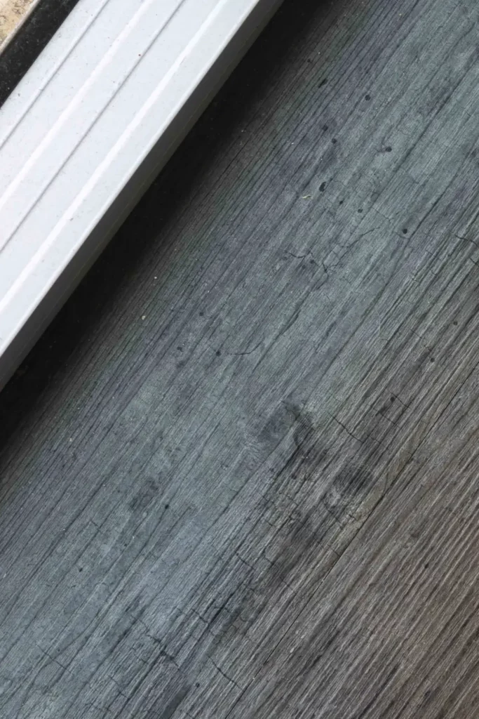 Close-up of a sun-damaged and faded timber floor near a window frame, showing the discolouration and cracking caused by prolonged UV exposure through untreated glass in a South West WA home.